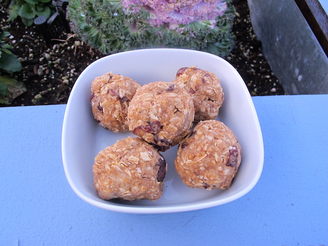 Power Balls! The Perfect Post-Workout Treat.