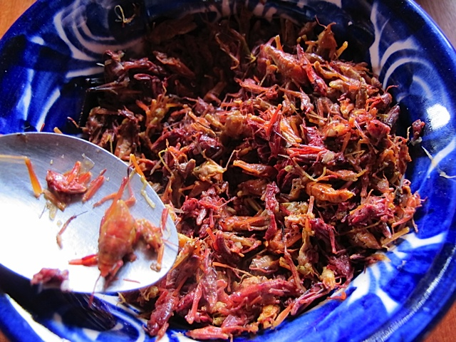 Chapulines, or fried grasshoppers served in Oaxaca--I ate these in tacos!
